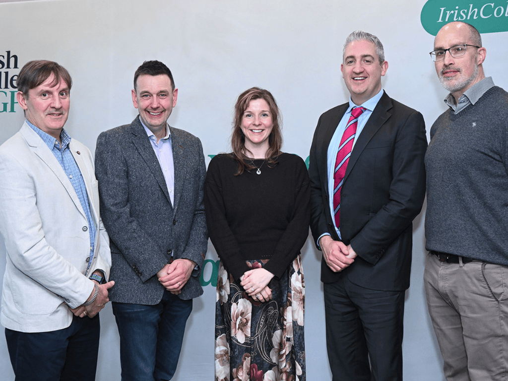 Clinical leads of the Irish College of GPs